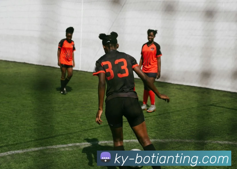 博天堂服务体系